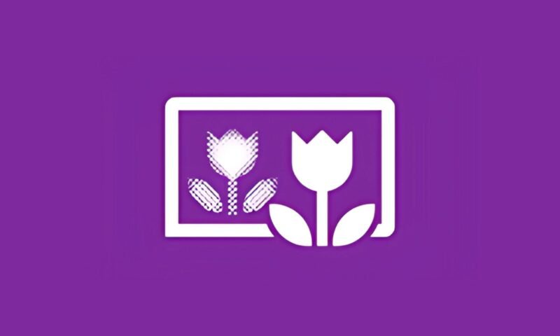 Nokia Refocus finalmente está disponível para toda linha Lumia com WP8