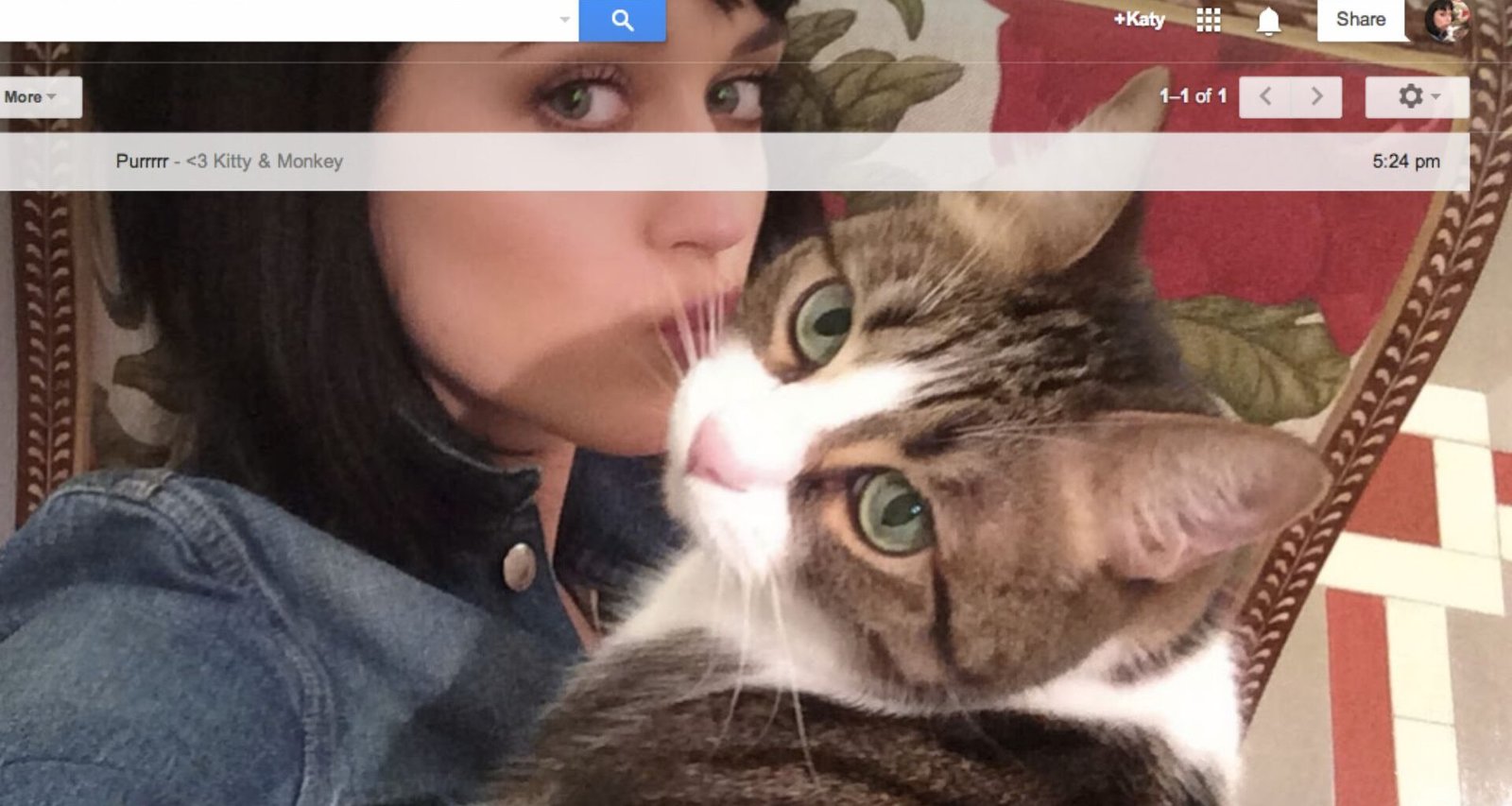 Google Shelfie Selfie Tema Dia da Mentira