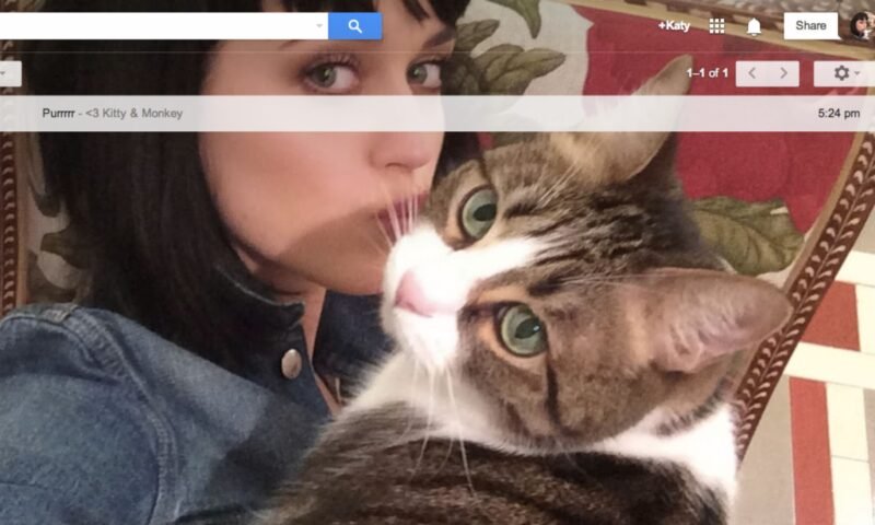 Gmail implementa personalização Selfie