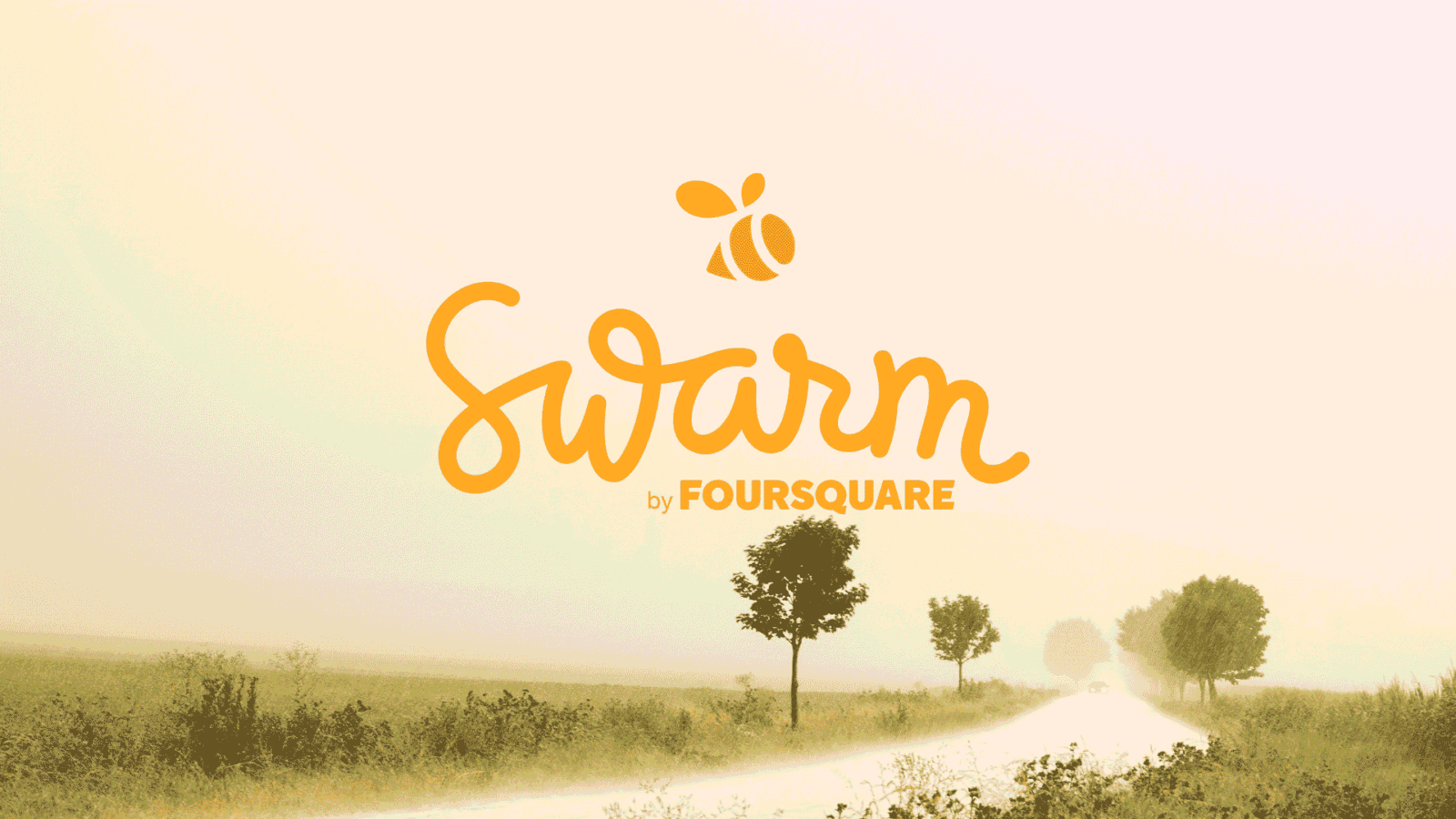 Swarm