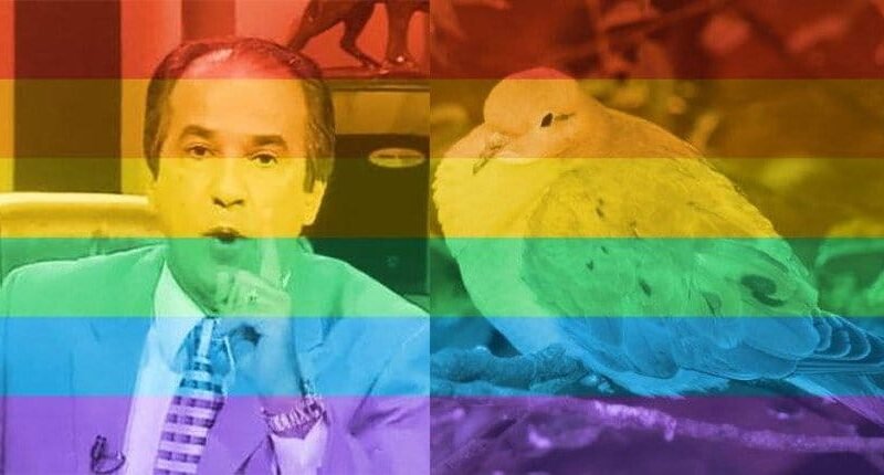 Facebook lança “Celebrate Pride” e rede fica multicolorida