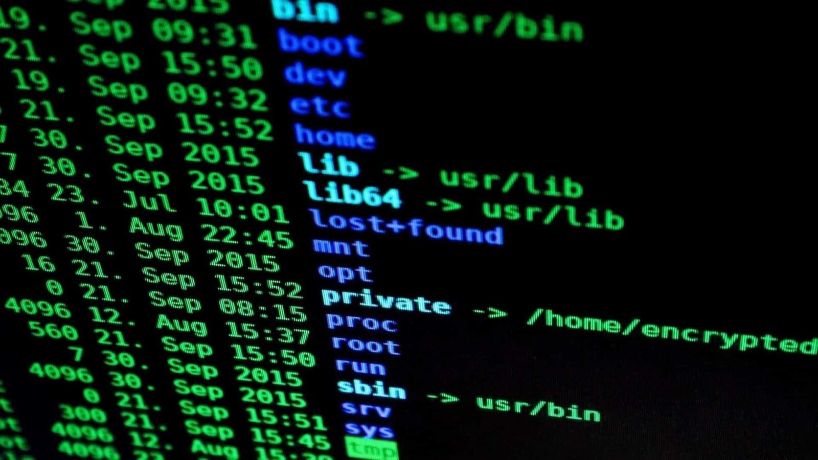 Hacker Hacking Segurança McAfee