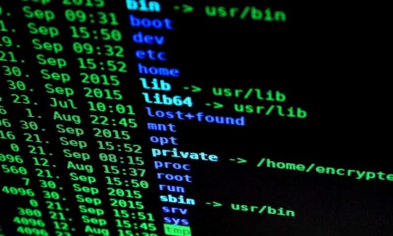 Hacker Hacking Segurança McAfee
