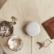 Google Nest Mini