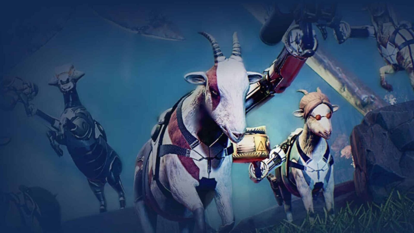 Goat of Duty