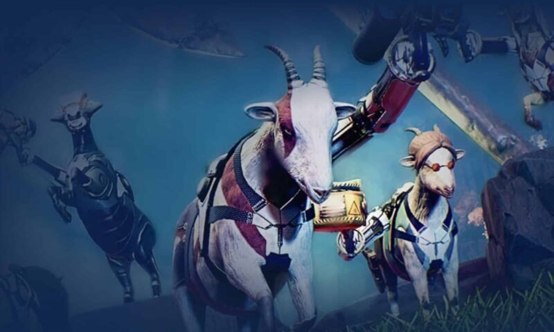 Goat of Duty