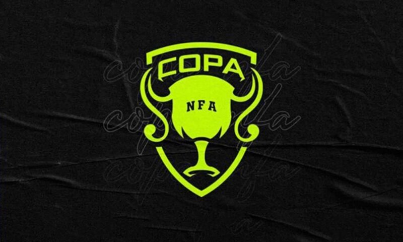 Copa NFA Free Fire