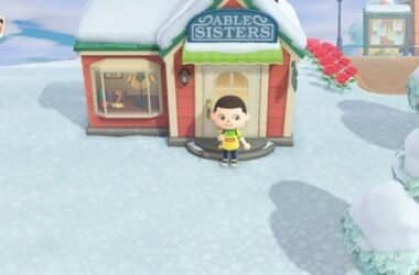 Seleção Brasileira de Rugby Animal Crossing