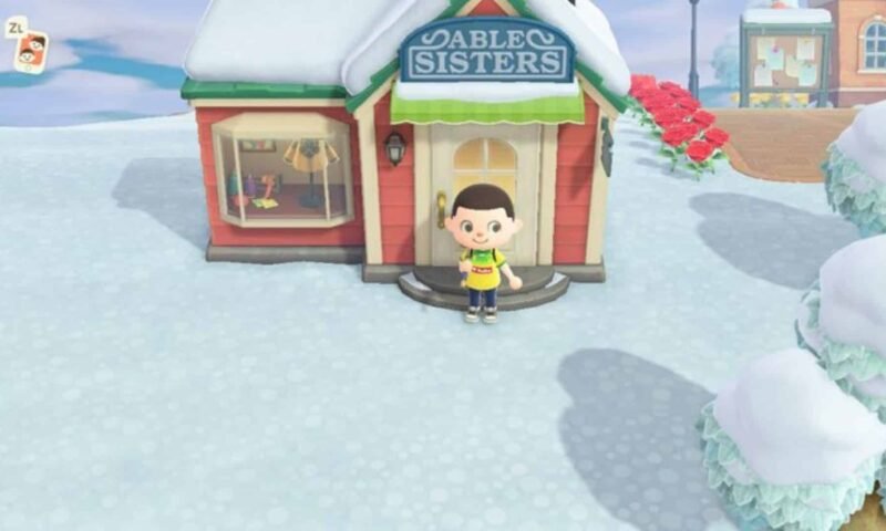 Seleção Brasileira de Rugby Animal Crossing