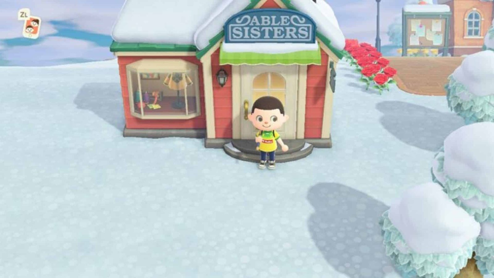 Seleção Brasileira de Rugby Animal Crossing