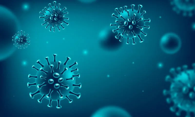 Calculadora sistematiza dados sobre a pandemia de Covid-19