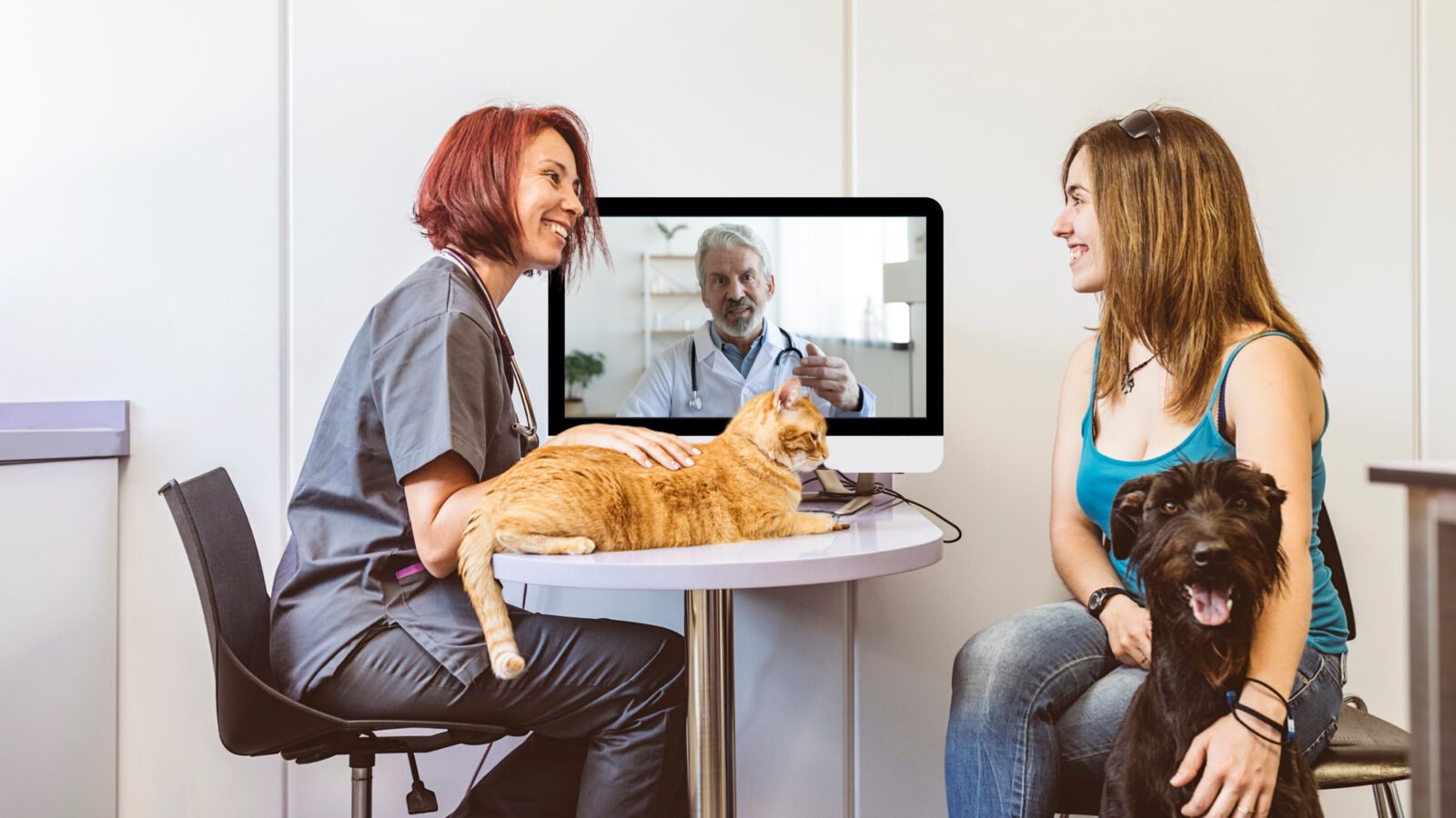 Telemedicina impulsiona a expansão digital da saúde animal