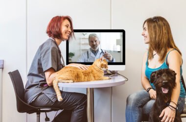 Telemedicina impulsiona a expansão digital da saúde animal