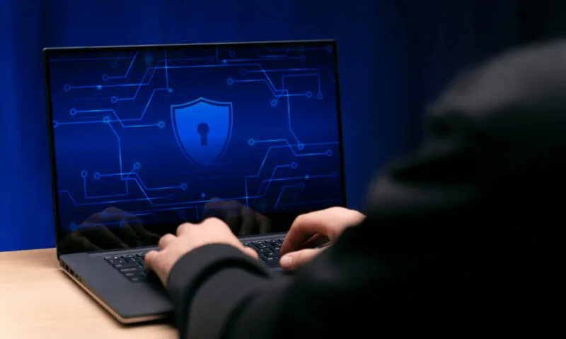 Consultoria cria ferramenta para auxiliar PME com a LGPD
