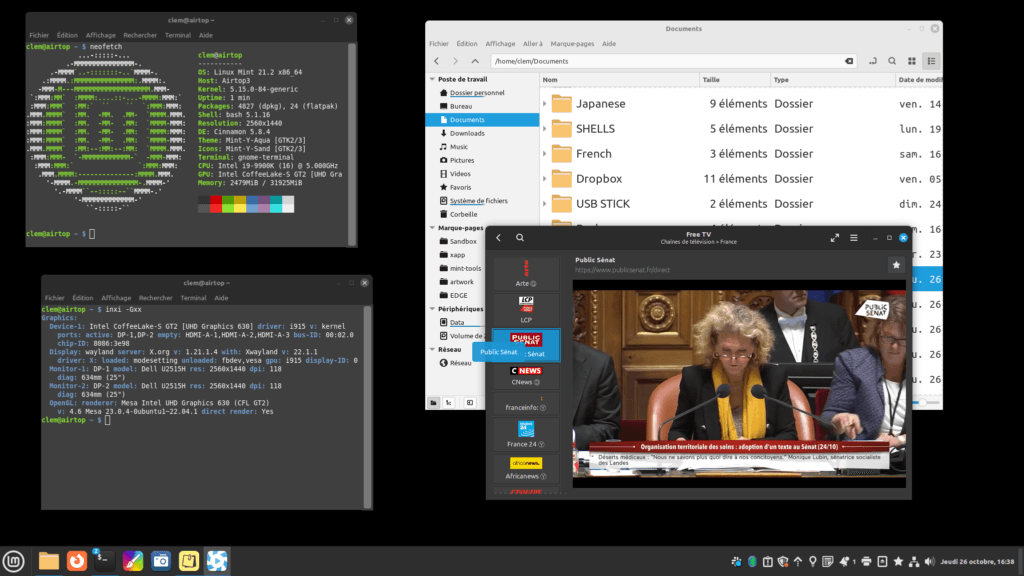 Linux Mint 21.3 - wayland