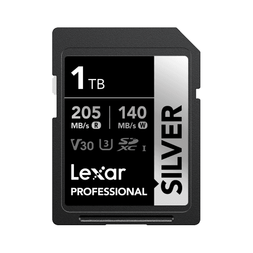 Lexar Professional SILVER SDXC UHS-I Card