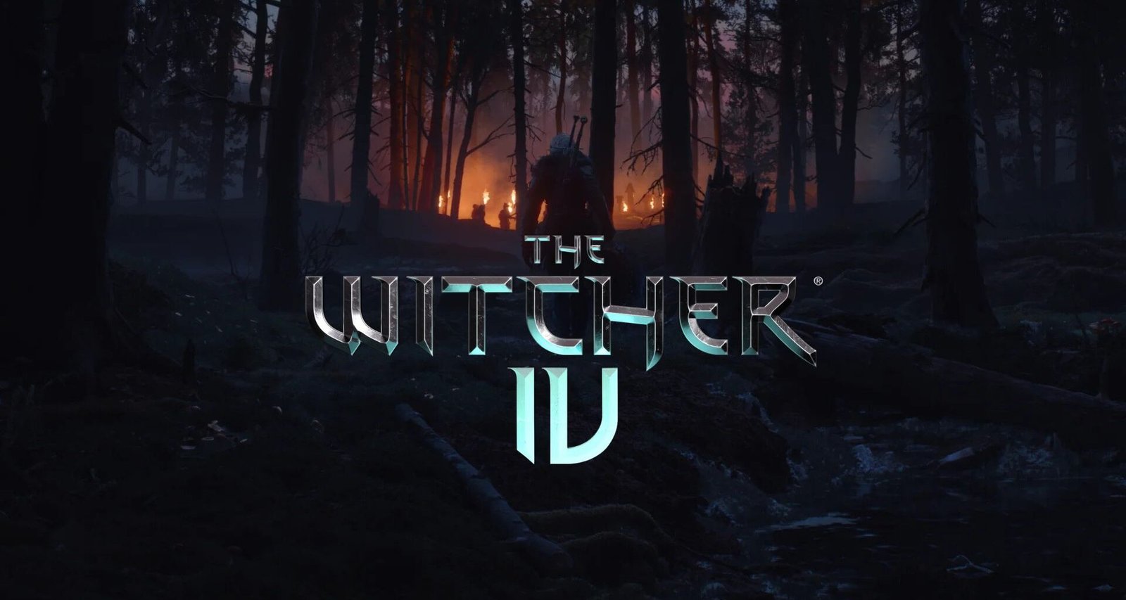 The Witcher IV