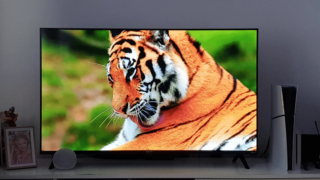 SEMP ROKU R6610 - Design Tela