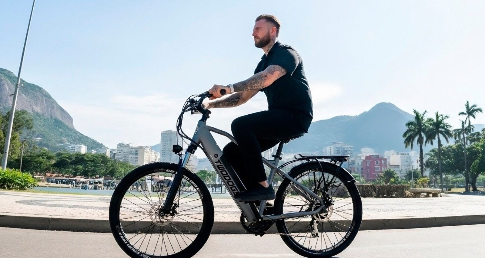 Two Dogs Extreme X1 (externa)