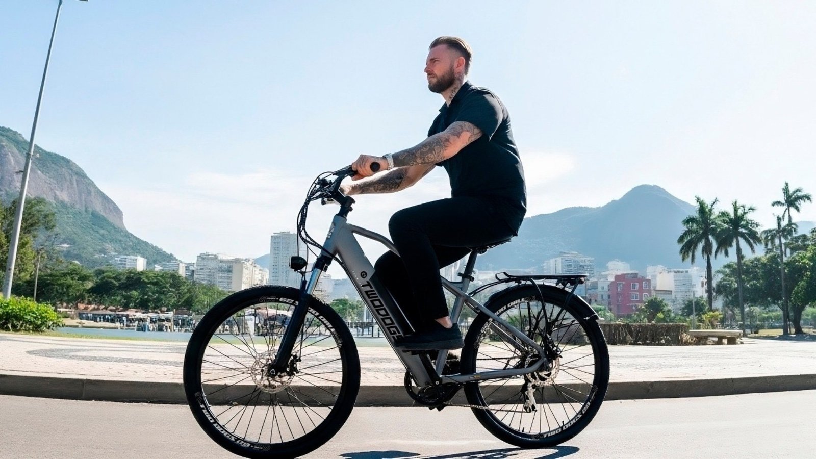 Two Dogs Extreme X1 (externa)