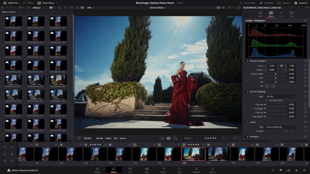 Davinci Resolve 21 Photo